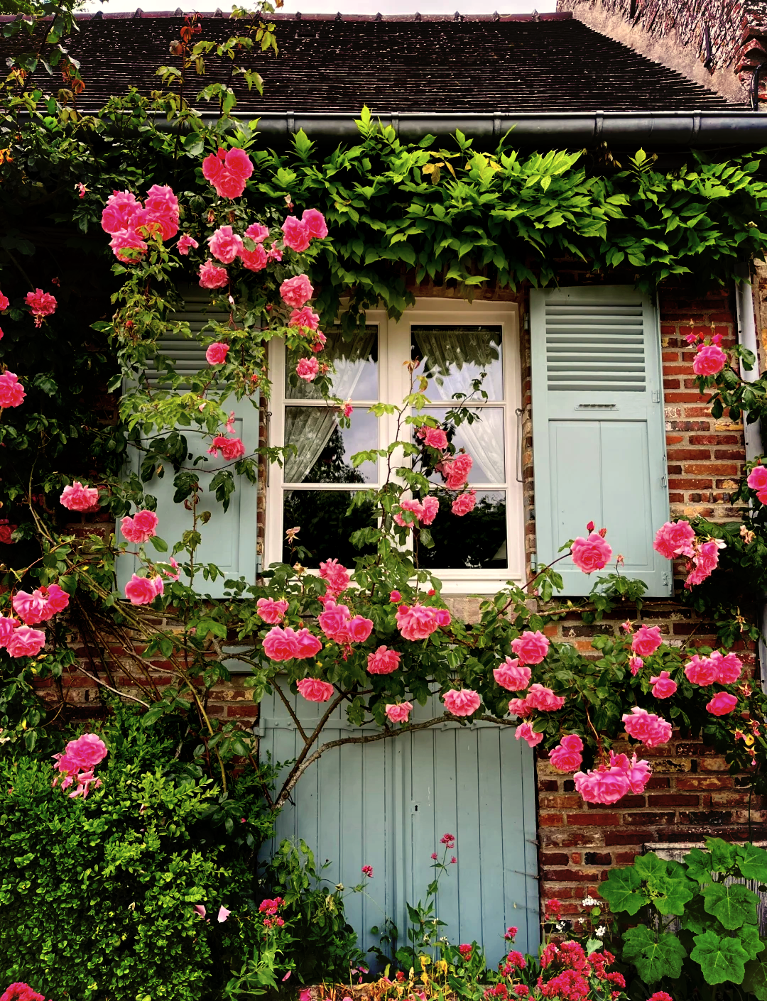 1314玫瑰小镇手机版(1314玫瑰小镇下载)-第3张图片-QuickQ官网