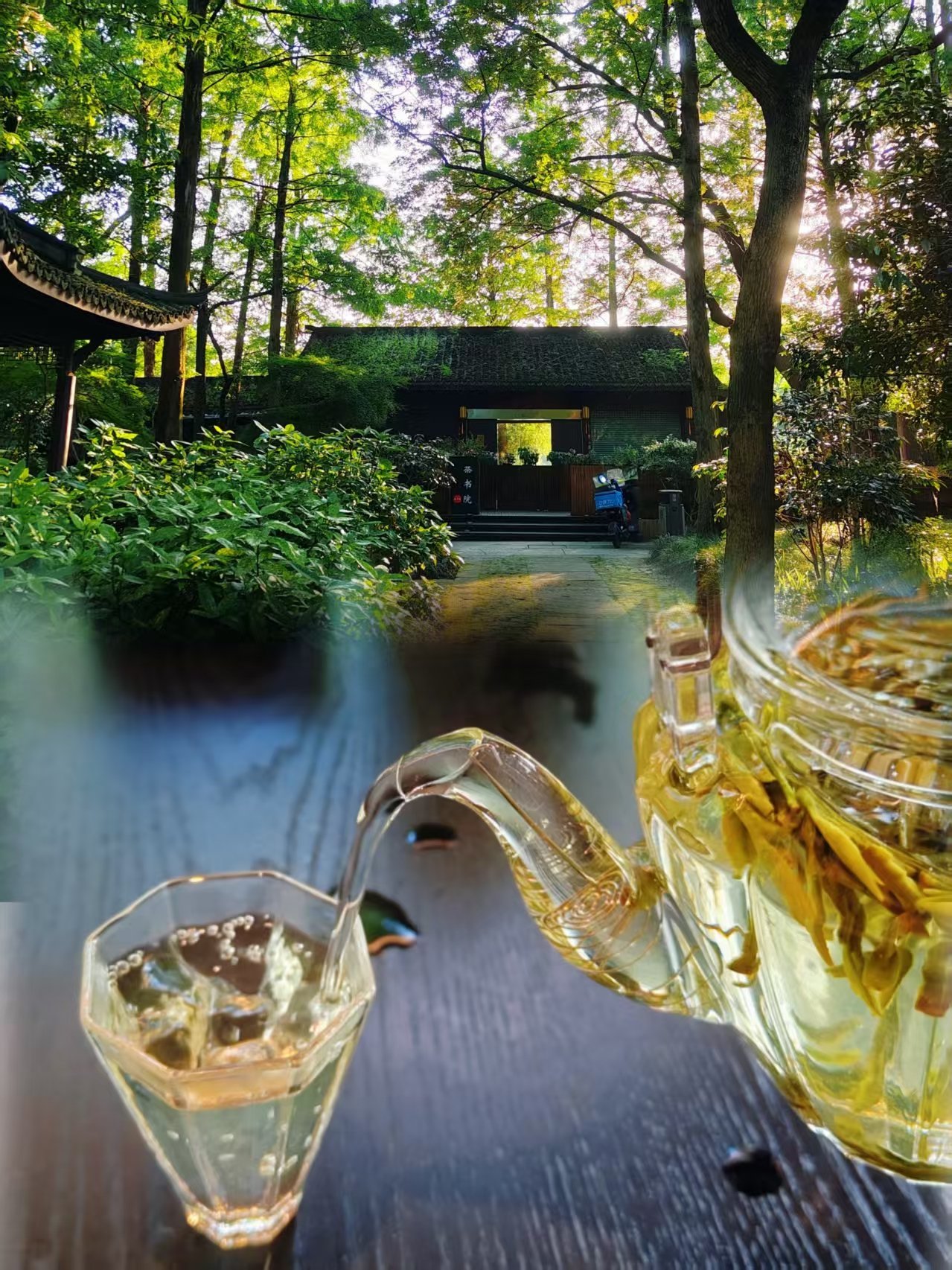 2017温州茶苑手机版(温州茶苑新版本游戏大厅安卓版)-第2张图片-QuickQ官网