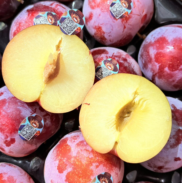 苹果智利版(苹果智利版好不好)-第2张图片-QuickQ官网