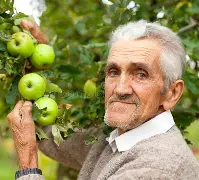 sdlproxy苹果版(tinyproxy苹果版)-第2张图片-QuickQ官网