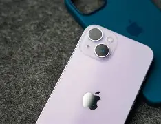 紫色苹果圆盘版(紫色苹果是什么型号)-第4张图片-QuickQ官网