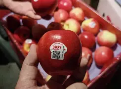 azar苹果版(ios版avatar下载)-第2张图片-QuickQ官网 azar苹果版(ios版avatar下载)-第2张图片-QuickQ官网