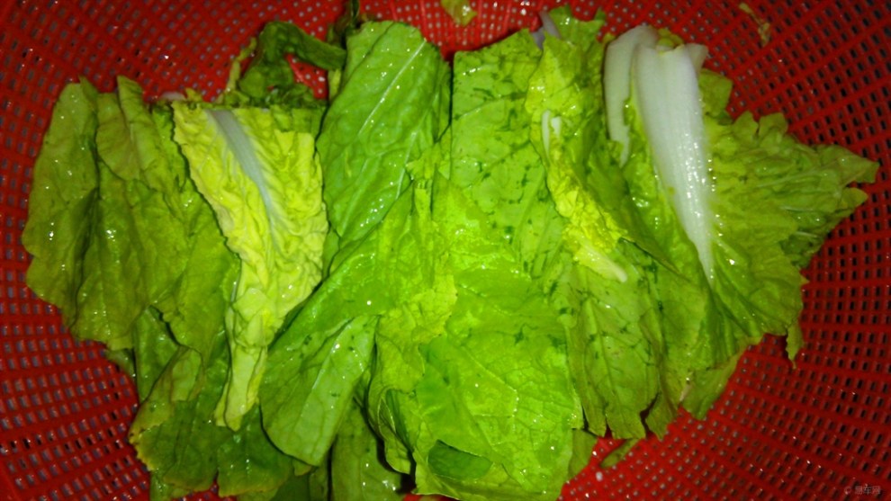 免费白菜分享论坛手机版(白菜大全网络娱乐交流论坛)-第2张图片-QuickQ官网