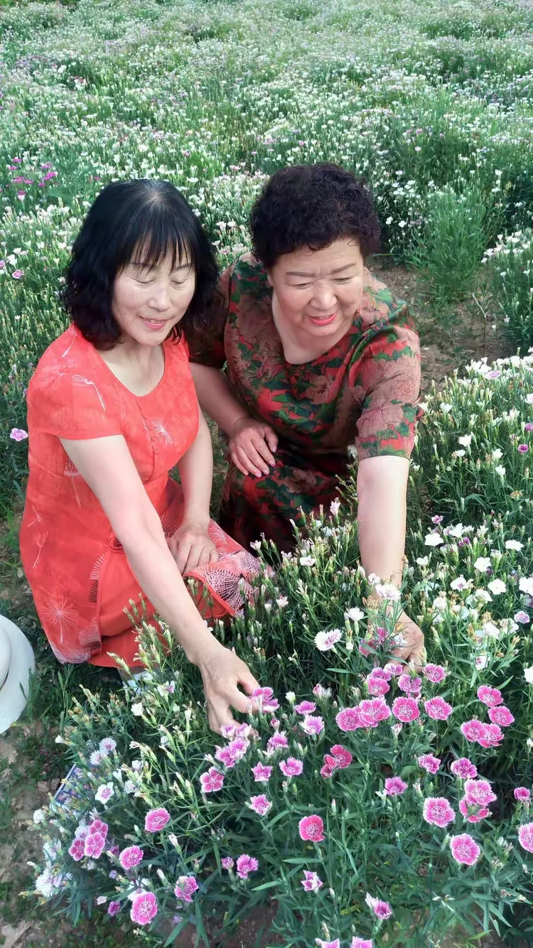 好姐妹手机版(好姐妹手机版下载)