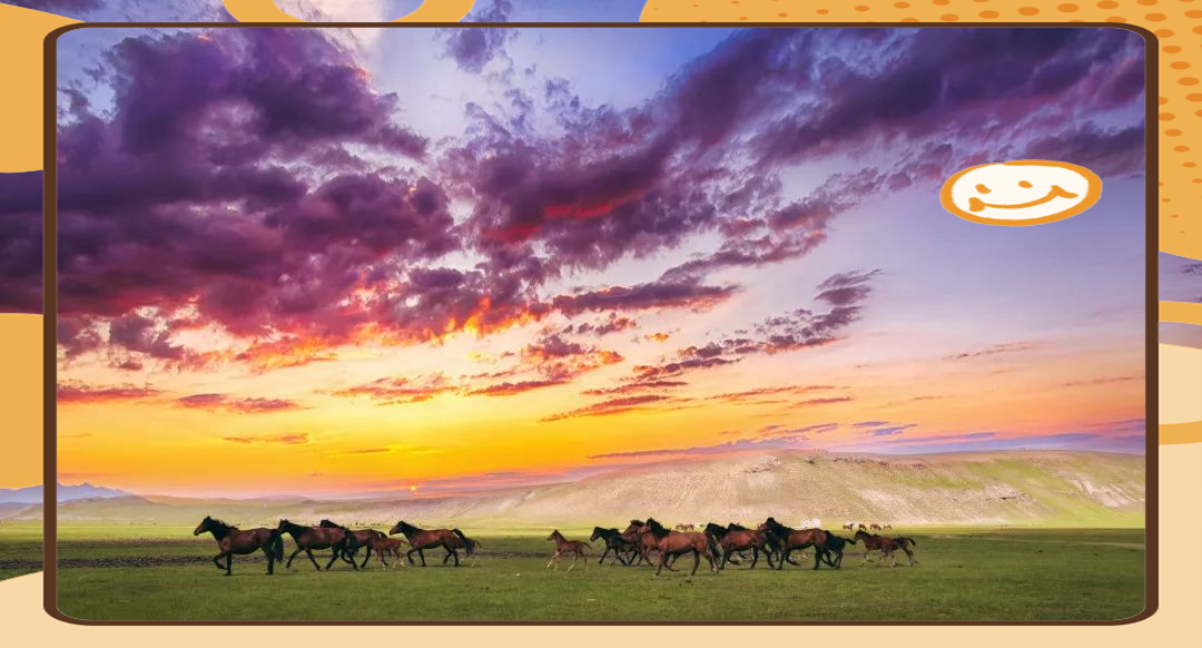 不朽情怀下载手机版(不朽情怀下载手机版官网)